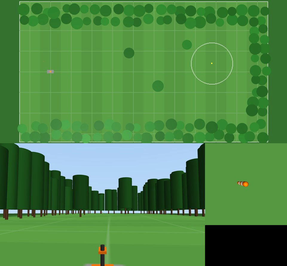 Player's view: Disc golf