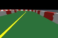Player's view: Robot racing