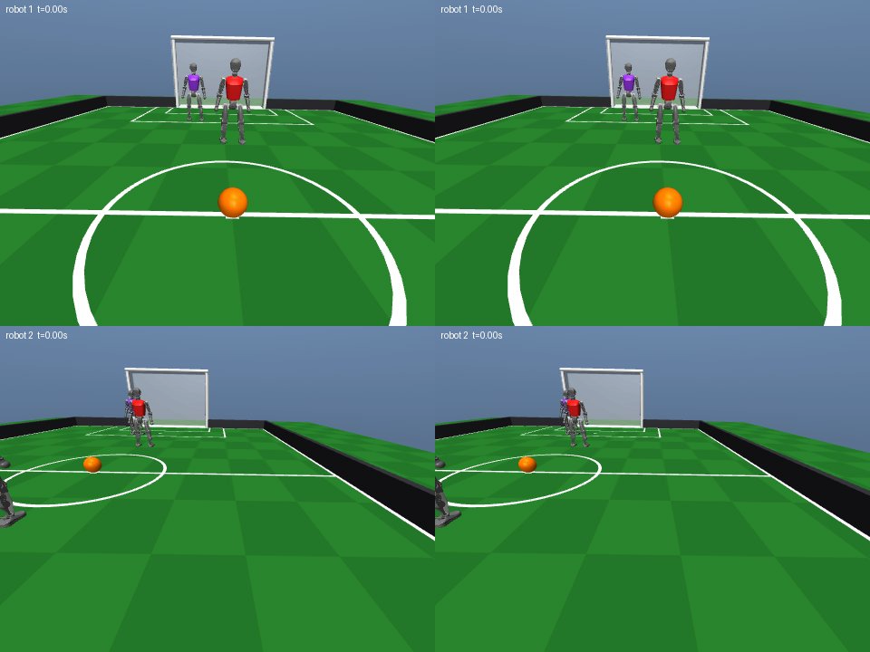 Player's view: Soccer 2 v 2
